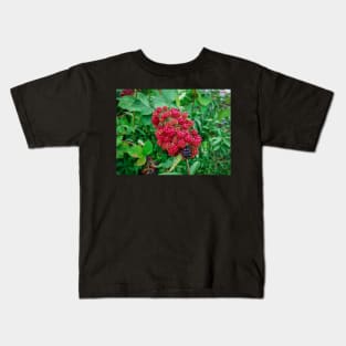 Wild Blackberries Kids T-Shirt
